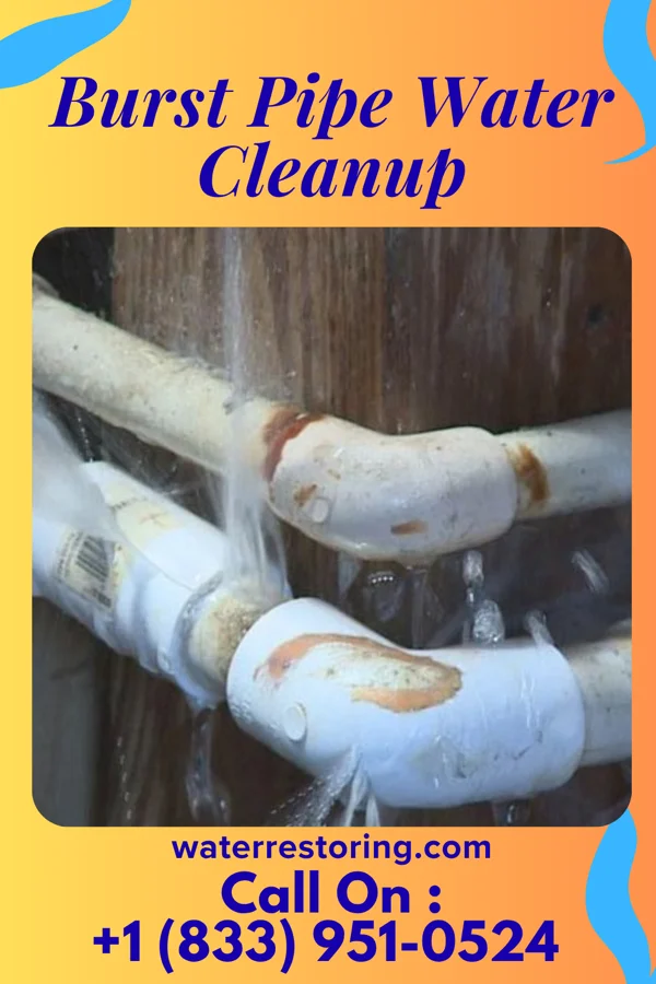 Burst Pipe Water Cleanup in Avoca, PA
