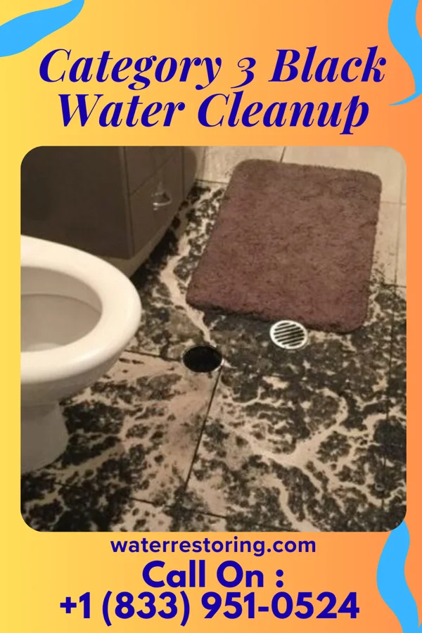 Category 3 Black Water Cleanup in Avoca, PA