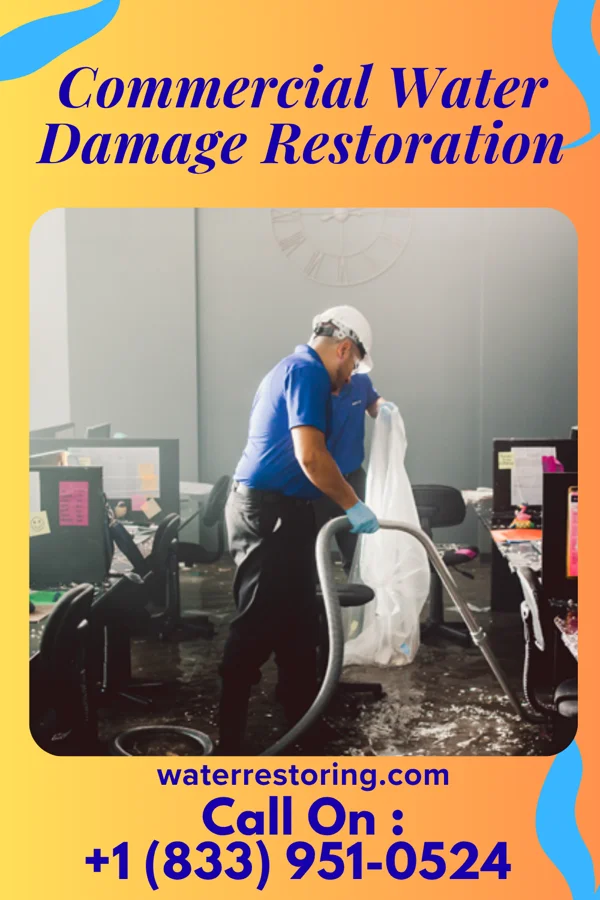 Commercial Water Damage Restoration in Avoca, PA