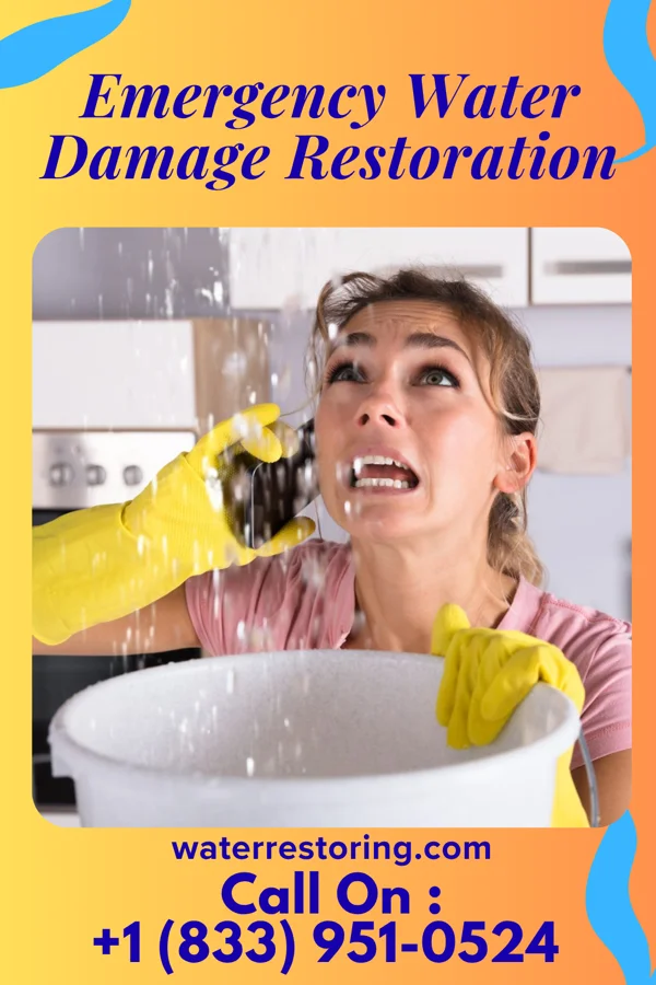 Emergency Water Damage Restoration in Avoca, PA