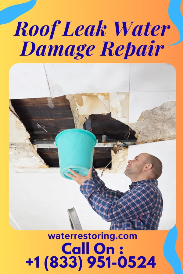 Roof Leak Water Damage Repair in Avoca, PA