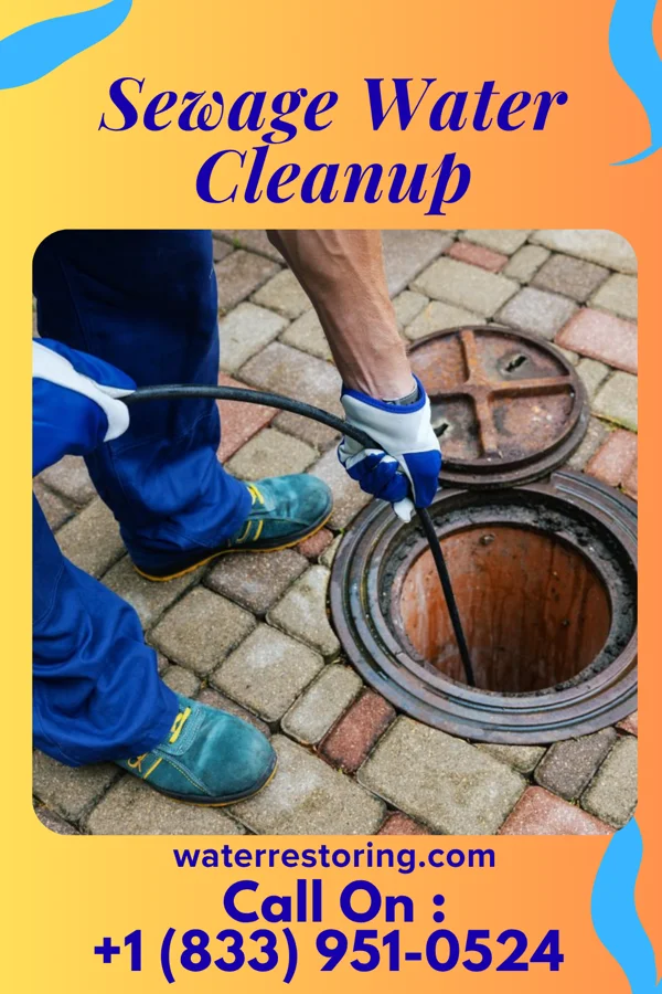 Sewage Water Cleanup in Avoca, PA