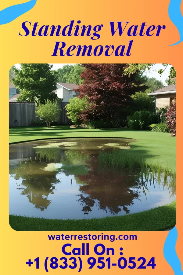 Standing Water Removal in Avoca, PA